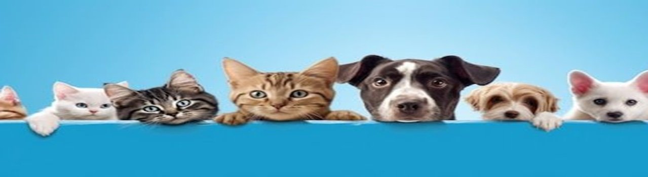 VETERINARIA GACHA LIFE